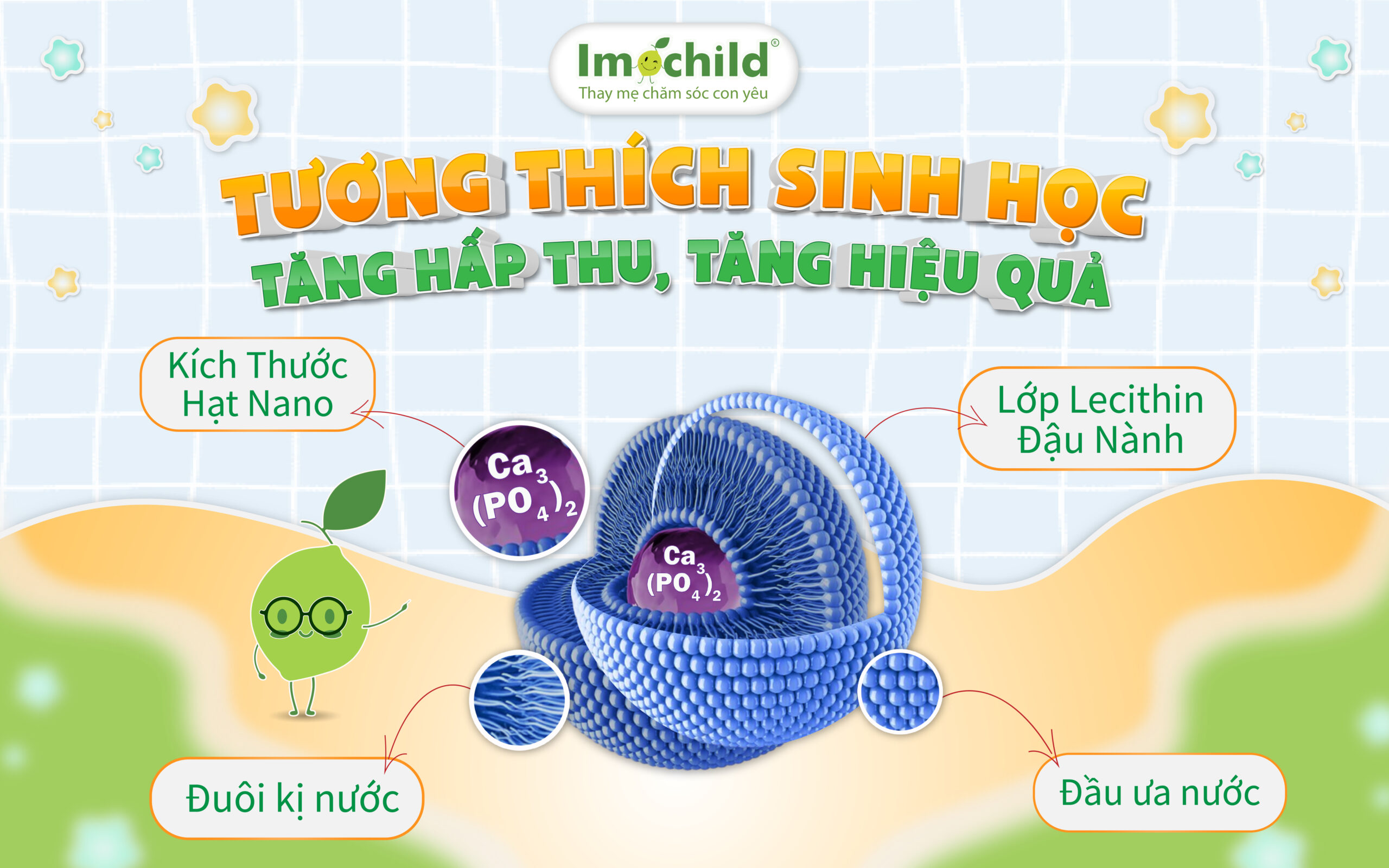 Canxi sinh học, tương thích sinh học